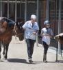 A trainer and young client walk alongside a dark brown horse. 