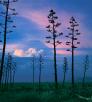 Photograph by Randy Prentice