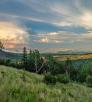 The White Mountains of Eastern Arizona by Laurence Parent