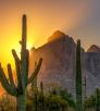 The setting sun casts a golden glow behind rocky peaks with saguaros in the foreground at Ironwood Forest National Monument. By Norma Jean Gargasz