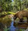 A black bear drinks from a stream in a woodsy Arizona setting. By Bruce D. Taubert