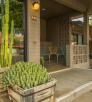 Large wooden containers hold mature succulent outside a the patio and entrance to a room at The Star Motel. By Laurence Parent