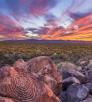 A rock featuring spiral rock art is in the foreground of this photograph, with desert scrub in the middle ground and mountains and an orange, purple and red sunset in the background. 
