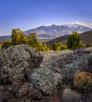 Lichen-covered boulders anchor a view of the San Francisco Peaks near Forest Road 514. By Shane McDermott
