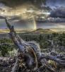 The volcanic landscape of Maroon Crater and the approaching evening light are punctuated by a bright rainbow. By Bernhard Michaelis