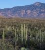 0217_hopecamptrail.jpg