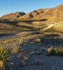 0218_silvercreekroad.jpg