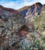 0318_barnhardttrail.jpg
