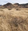 0318_ruckercanyonloop.jpg
