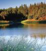 0417_prescottlakesloop.jpg