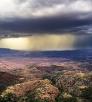 0417_woodchutetrail.jpg