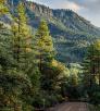 0517_controlroad.jpg