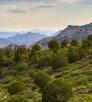 0518_wintercabintrail.jpg