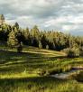 0615_westbaldytrail.jpg