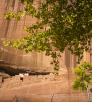 0618_whitehouseruinstrail.jpg