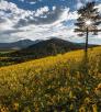 0815_olearypeaktrail.jpg