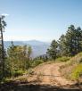 0917_trippcanyonroad.jpg