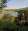 camp_c_lynxlakejerryjonesjr_p70.jpg
