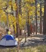 camp_northrimpg44.jpg