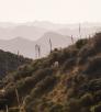 drive_central_pinal_86.jpg