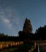 drive_east_coronadotrail_104.jpg