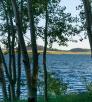 drive_east_eagar_108.jpg