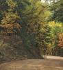 drive_north1109_wsidemormonlakerd.jpg