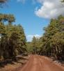 drive_north_stonemanlake_45.jpg