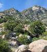 drive_south_mescal_156.jpg