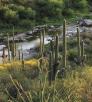 drive_south_redingtonrd0411.jpg