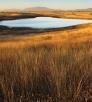 drive_south_sonoita_172.jpg