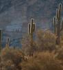 drive_west_6mile_138.jpg