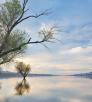 drive_west_cottonwood_126.jpg
