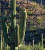 hike_0313_kingcanyontrail.jpg
