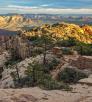 hike_0414_bearmountaintrail.jpg