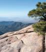 hike_0513_aspenpeaktrail.jpg