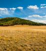 hike_1014_poleknolltrail.jpg