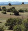 hike_c_oakswillows_1011.jpg