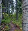 hike_e_sixshooter_0210.jpg