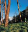 hike_s_oldbaldy_1010.jpg
