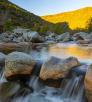 0120_BadgerSpringsTrail.jpg