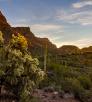 0319_HieroglyphicTrail.jpg