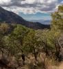 0519_KentSpringLoop.jpg