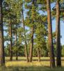 0720_Drive_FR700.jpg