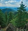 0720_Hike_Bill-Williams.jpg
