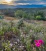 0820_ScenicDrive_GreenbackValleyRd.jpg