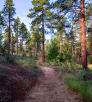 1119_WolfCreekLoop.jpg