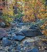 1120_Bear_Sign_Trail.jpg