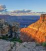 treerose photography grand canyon.jpg