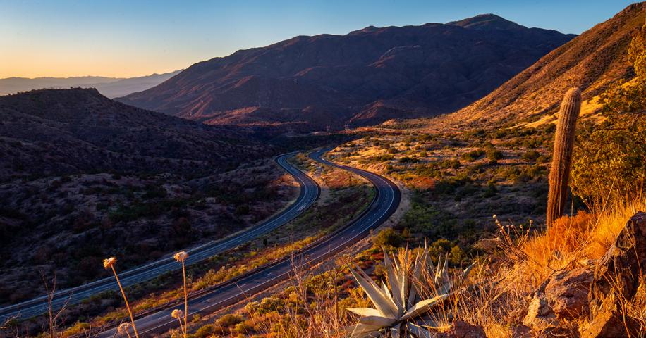 Making A Beeline | Arizona Highways